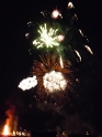 bild (16)